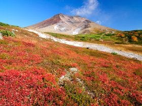 旭岳温泉ホテルベアモンテ