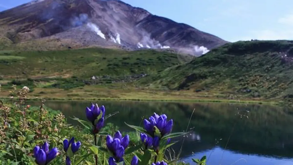 히가시카와 아사히다케 온천 호텔 베어몬테
