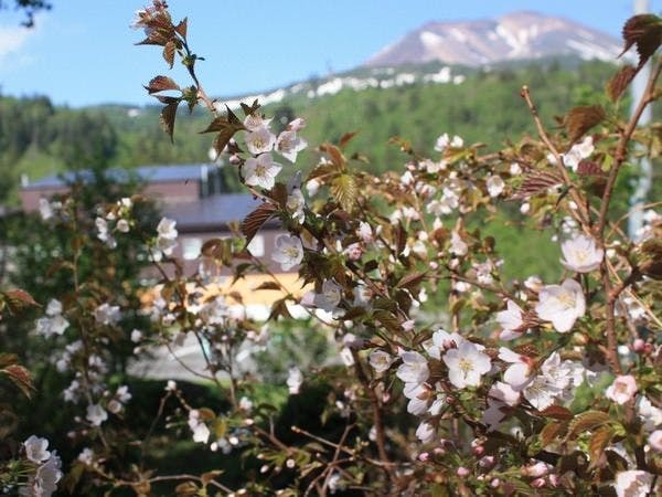 東川・旭岳温泉 ホテルベアモンテ