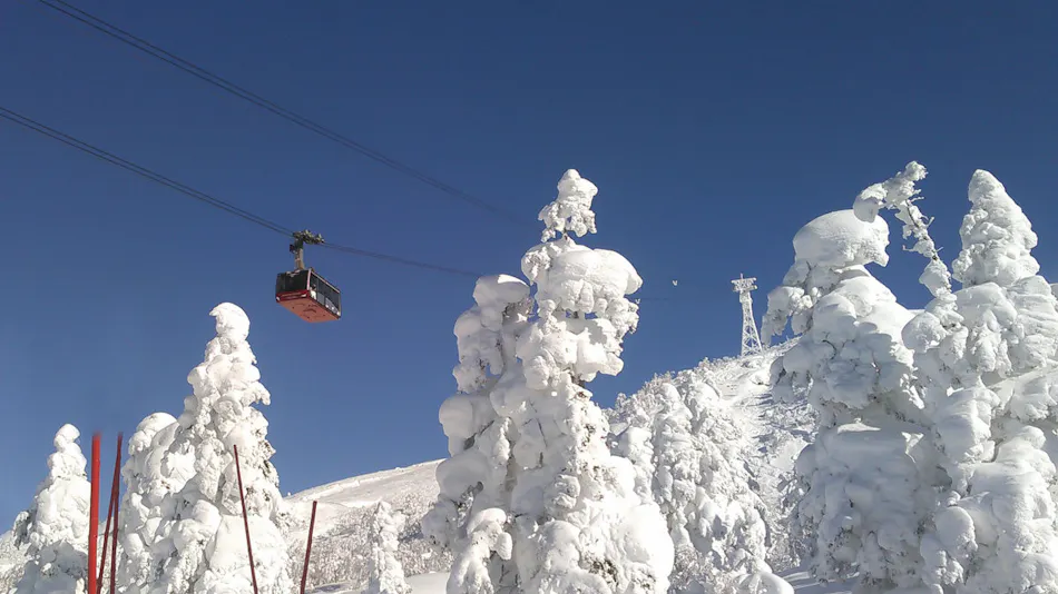 Higashikawa Asahidake Onsen Hotel Bearmonte