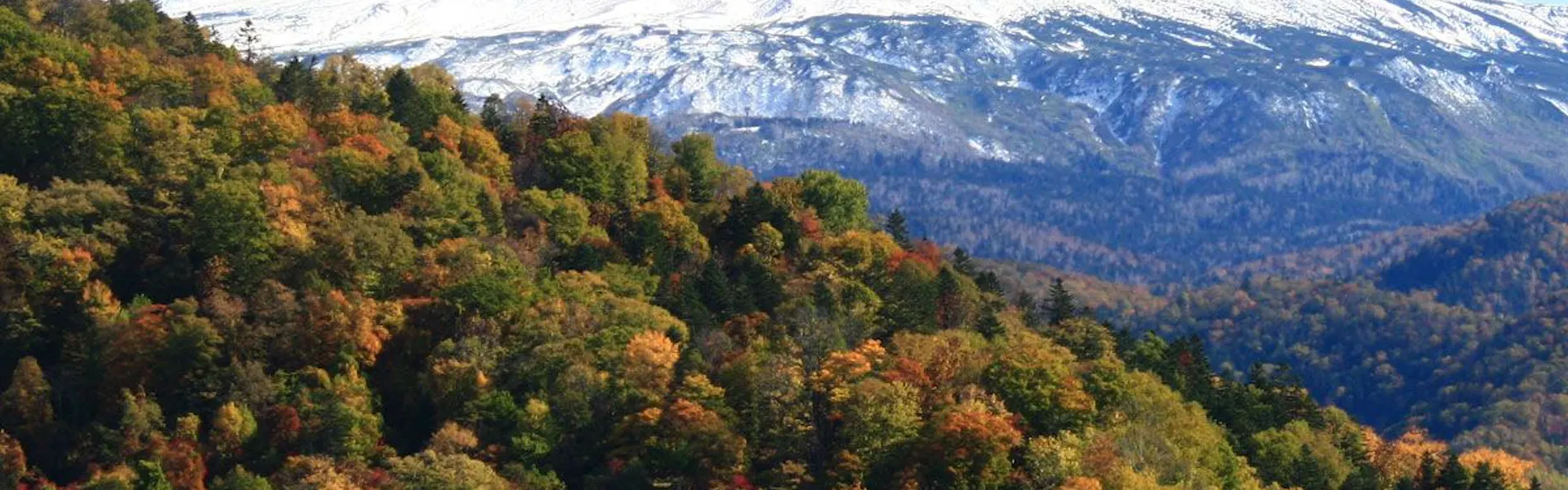 東川・旭岳温泉 ホテルベアモンテ
