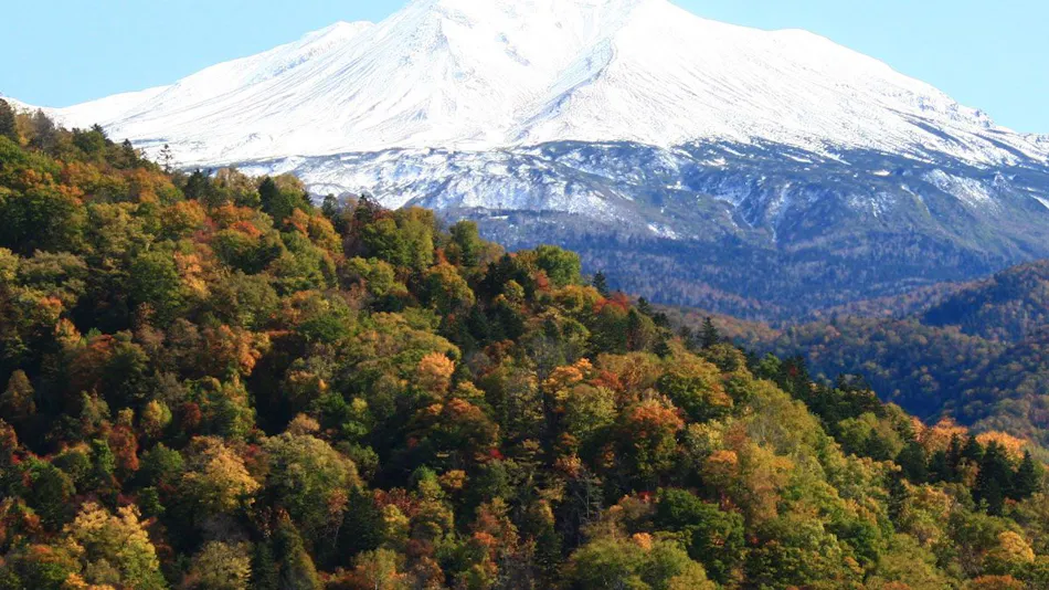 Higashikawa Asahidake Onsen Hotel Bearmonte