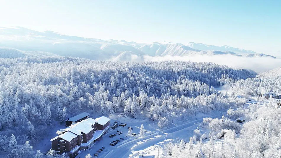 Higashikawa Asahidake Onsen Hotel Bearmonte
