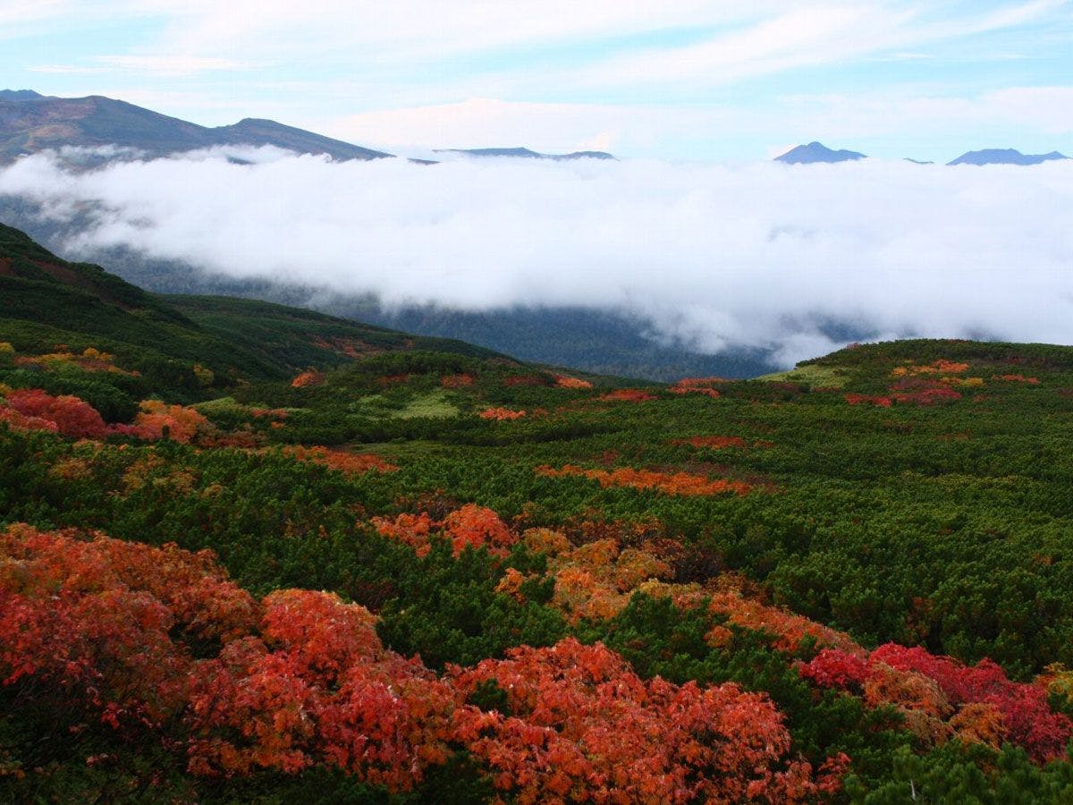 東川・旭岳温泉 ホテルベアモンテ
