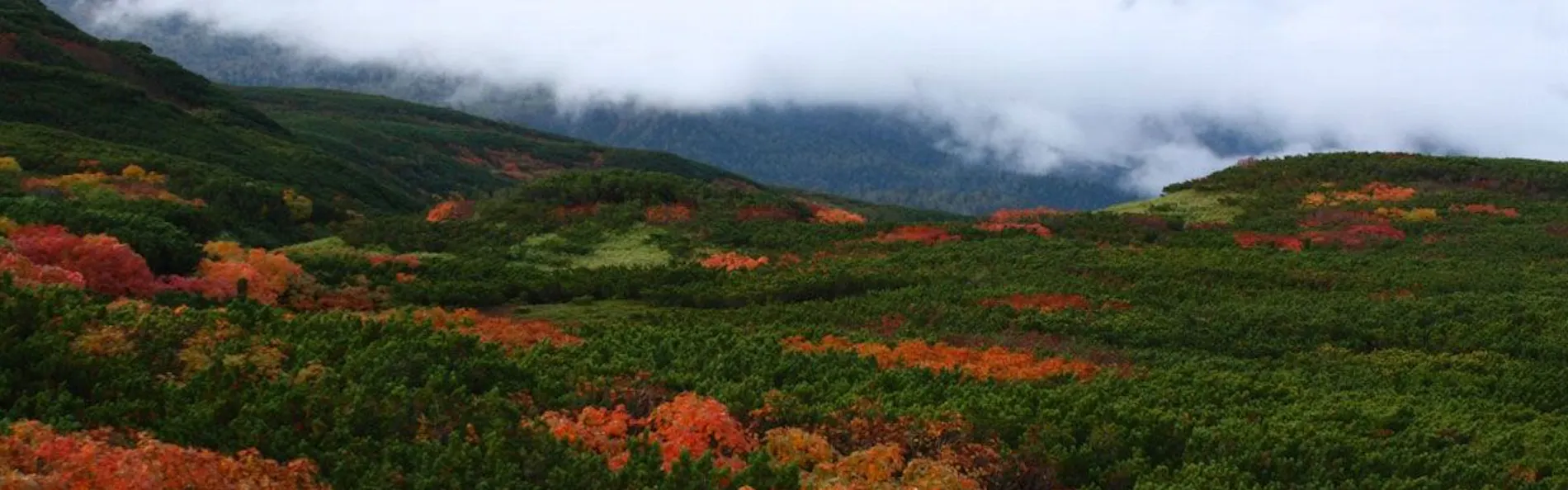 東川・旭岳温泉 ホテルベアモンテ