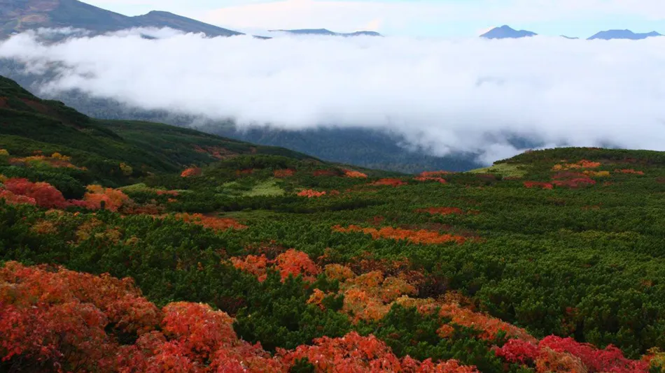 Higashikawa Asahidake Onsen Hotel Bearmonte