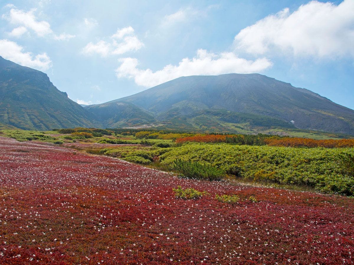 東川・旭岳温泉 ホテルベアモンテ