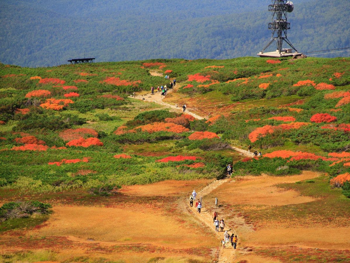 東川・旭岳温泉 ホテルベアモンテ