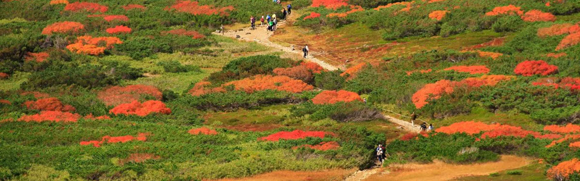 東川・旭岳温泉 ホテルベアモンテ
