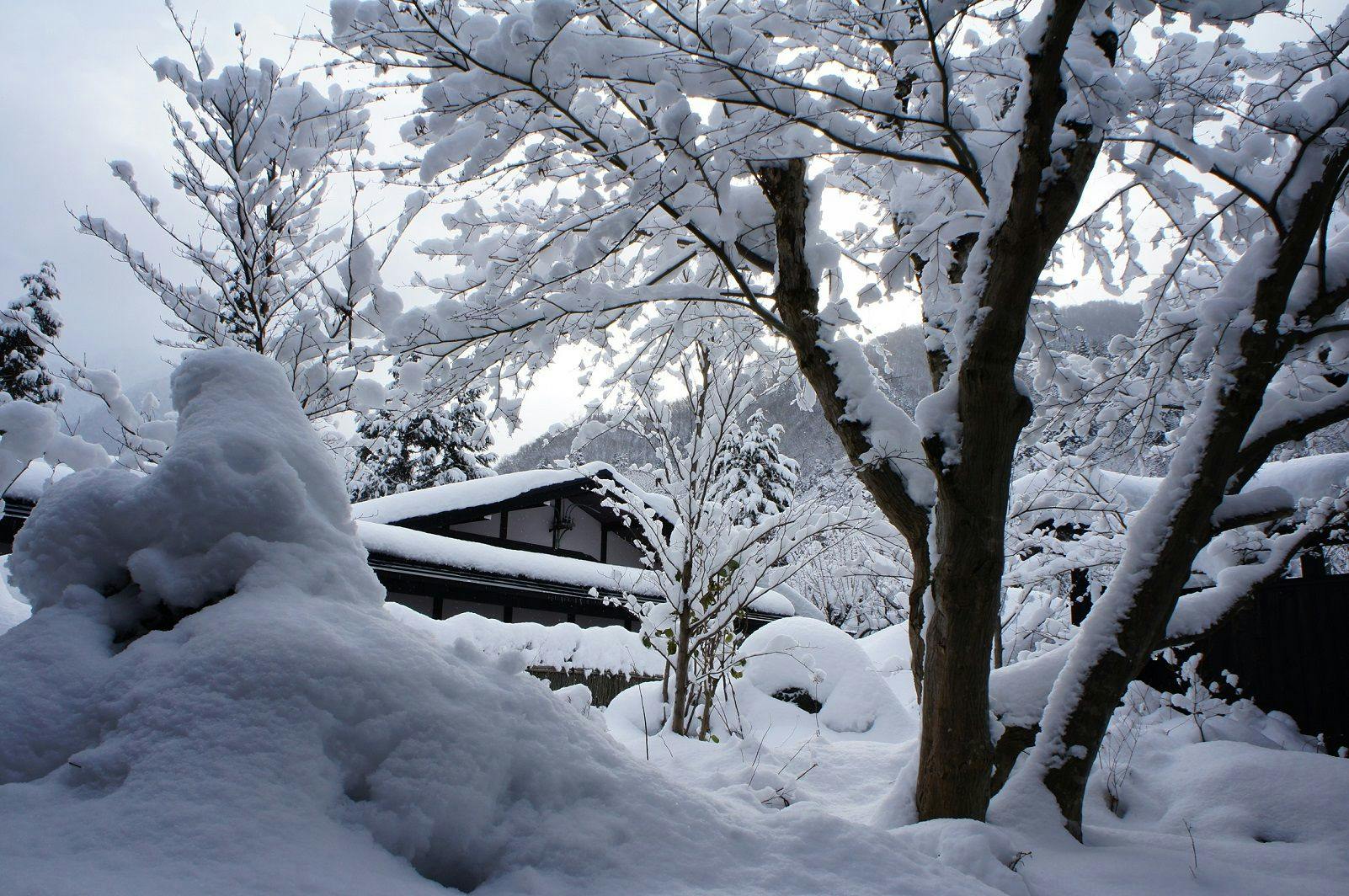 隠庵　ひだ路