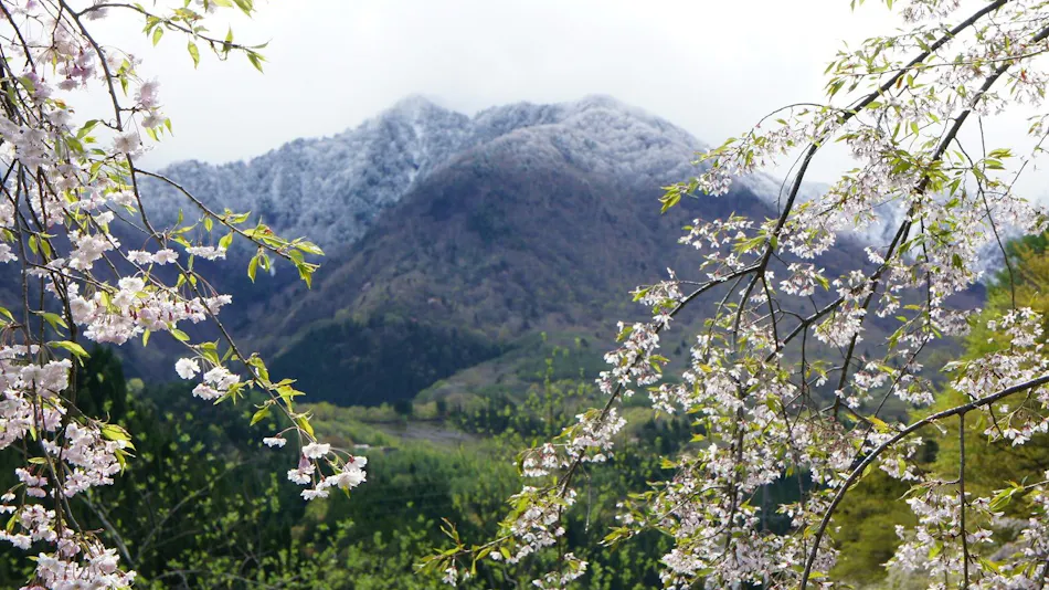 Kakurean Hidaji