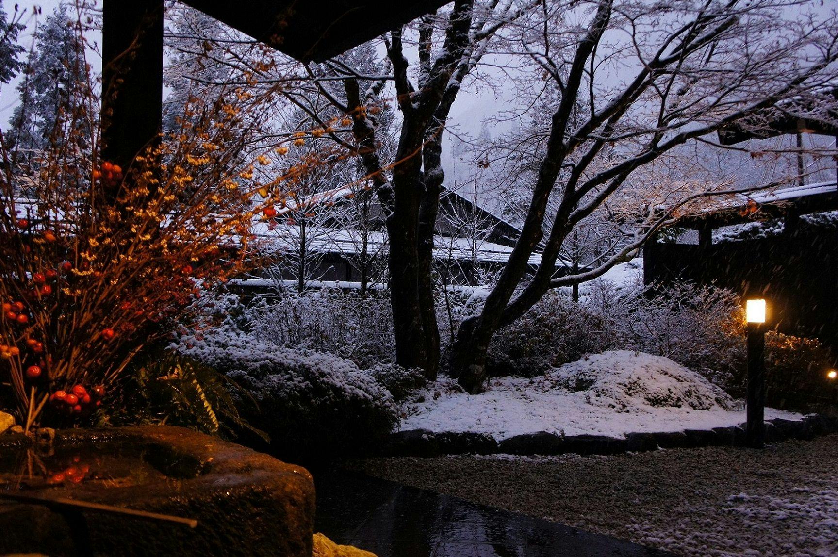 隠庵　ひだ路
