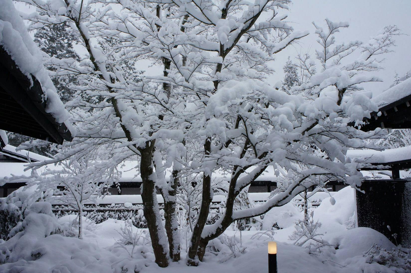 隠庵　ひだ路