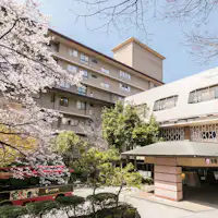 Pemandangan penuh bunga sakura