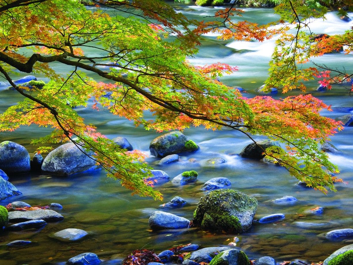 吉祥やまなか
