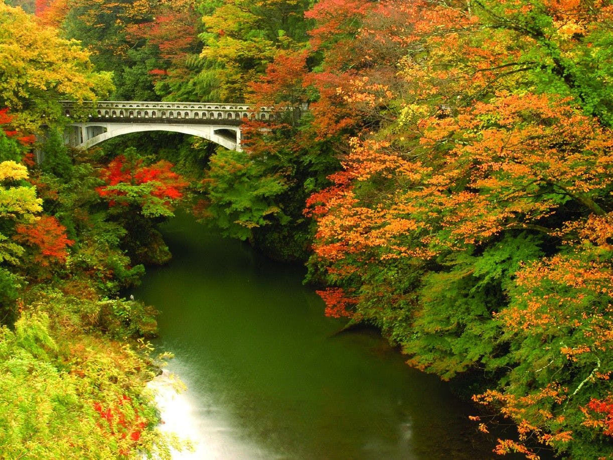 吉祥やまなか