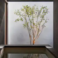 *【เซออนเรียว】อ่างอาบน้ำถ่านบินโชตันคิชู