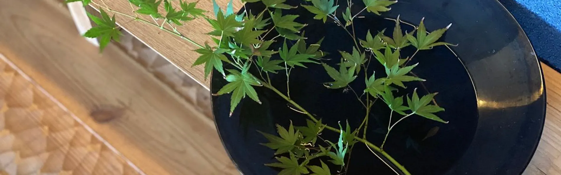 あきば何求庵