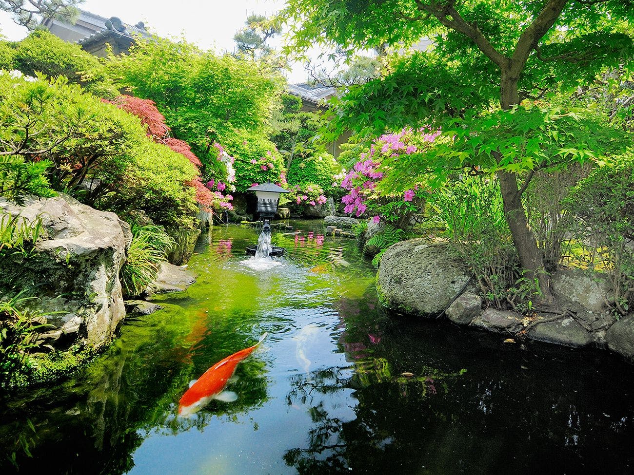 伝統旅館のぬくもり 灰屋