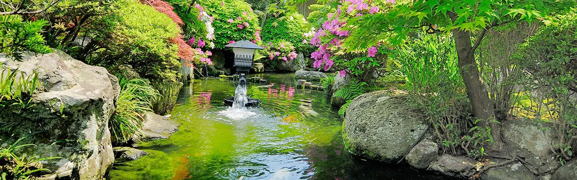 伝統旅館のぬくもり 灰屋