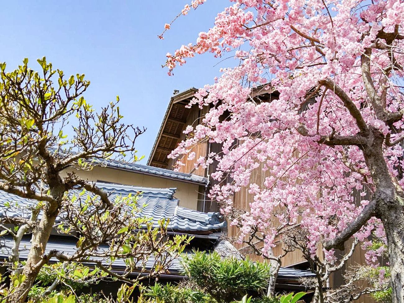 伝統旅館のぬくもり 灰屋