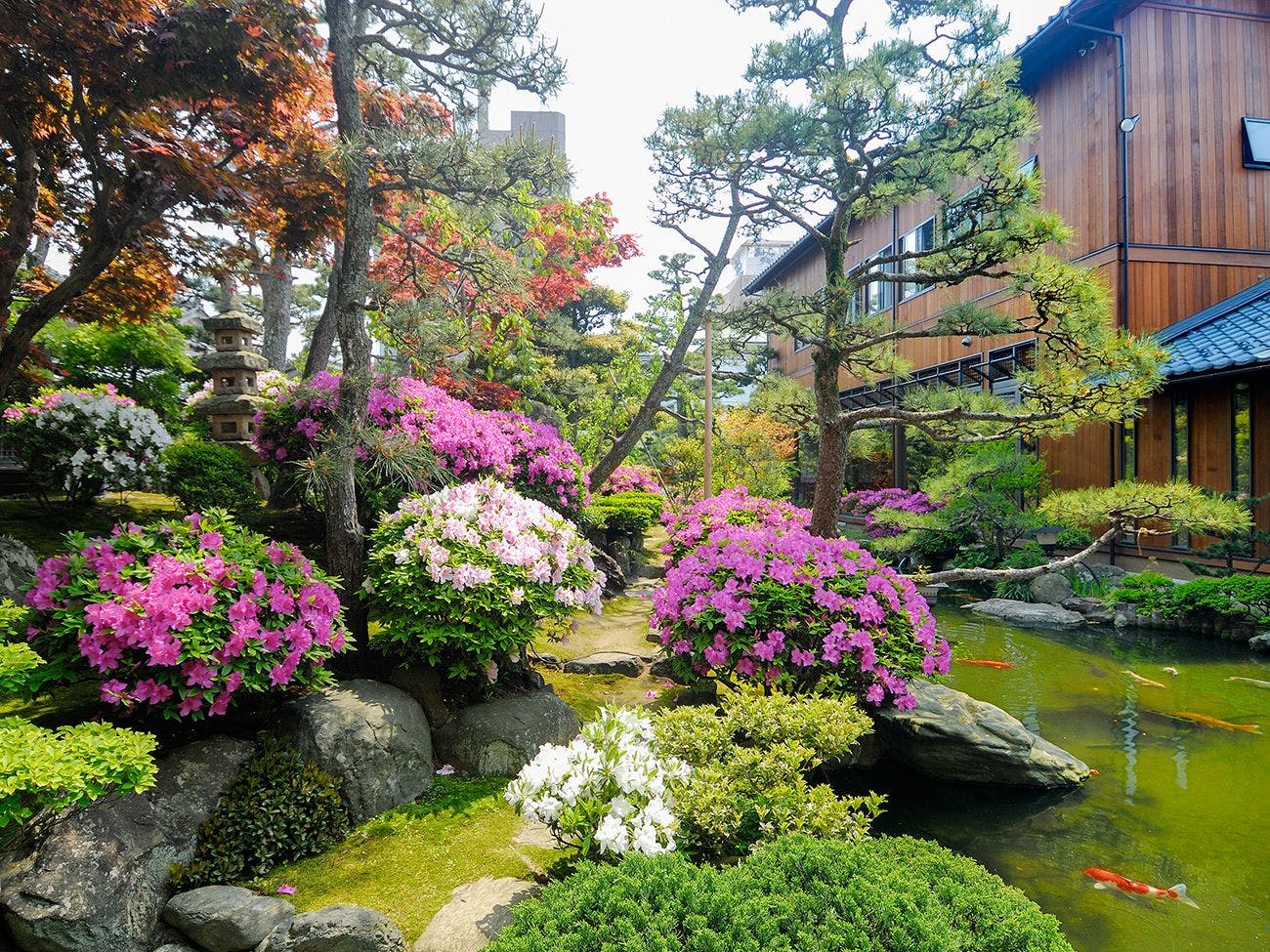 伝統旅館のぬくもり 灰屋