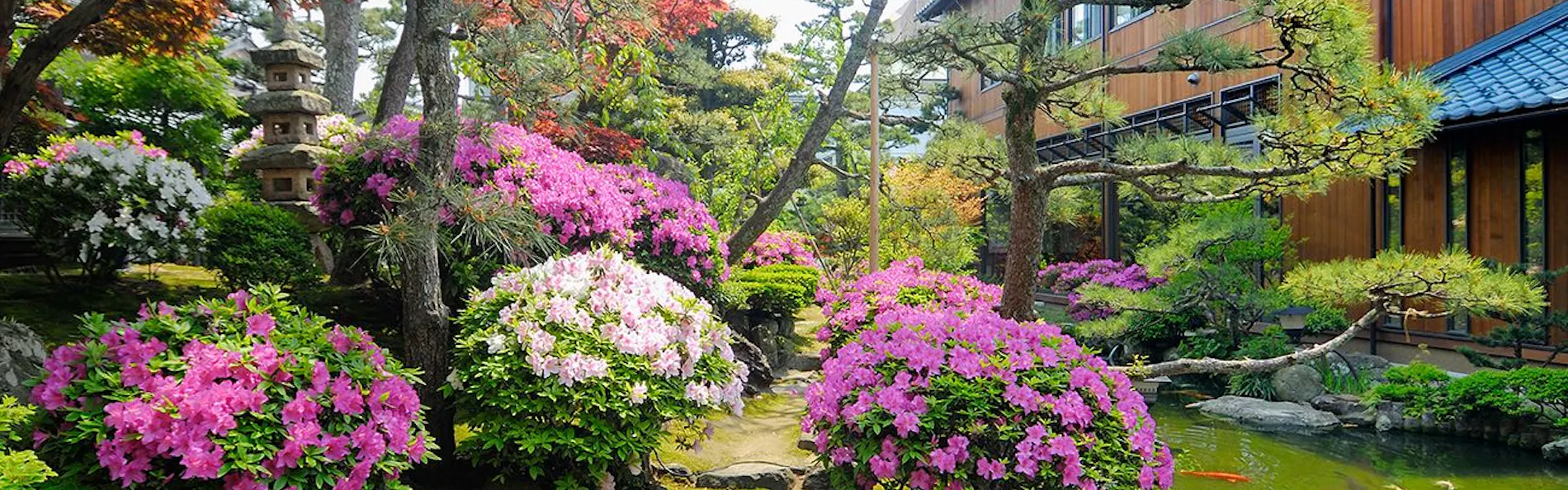 伝統旅館のぬくもり 灰屋