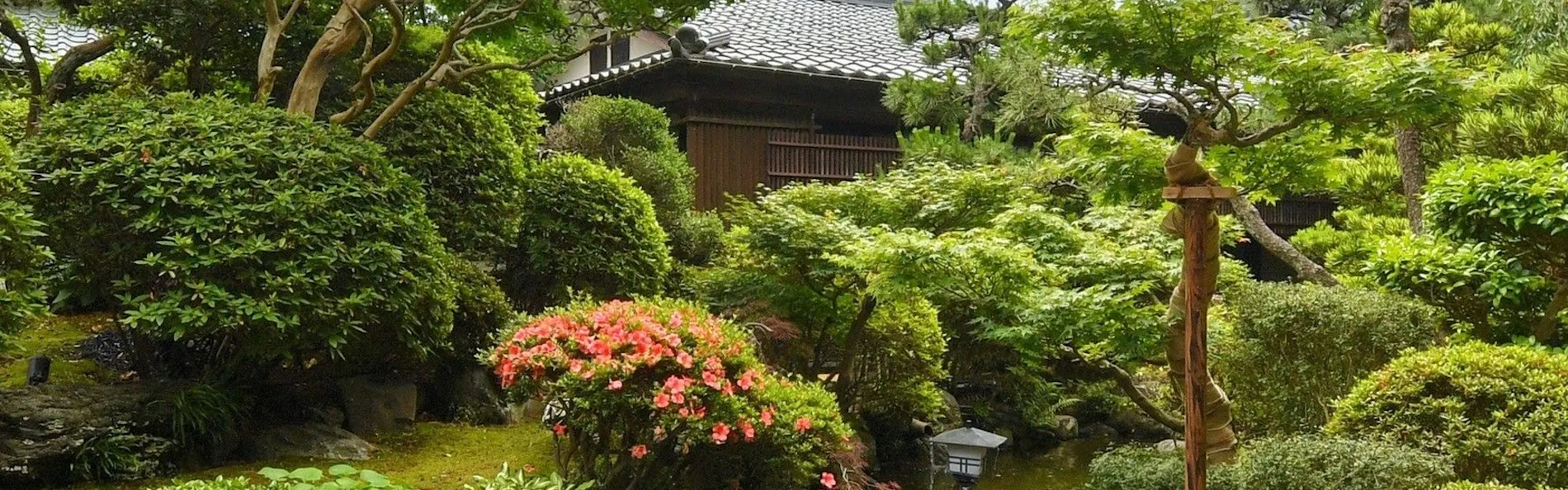 伝統旅館のぬくもり 灰屋