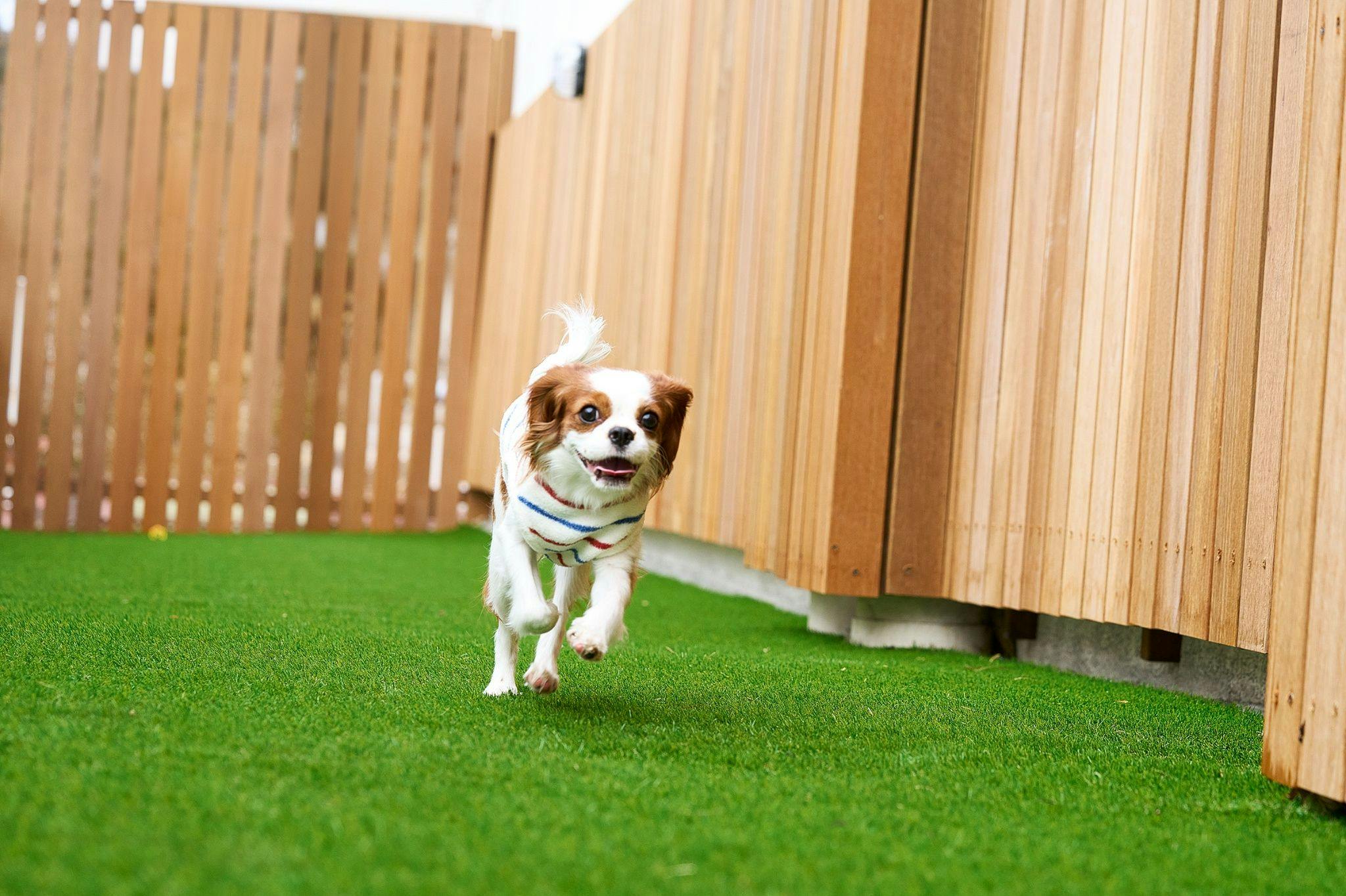 伊良湖オーシャンリゾート