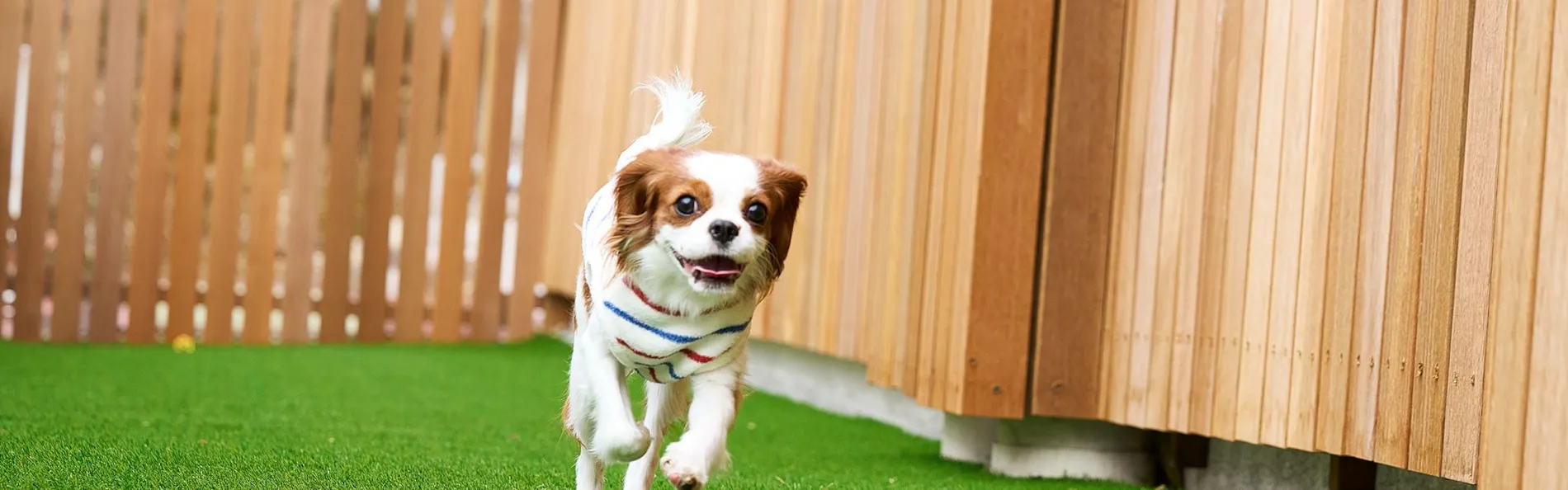 伊良湖オーシャンリゾート