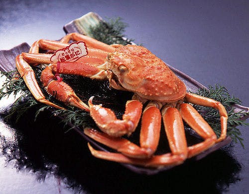 茹で松葉蟹
