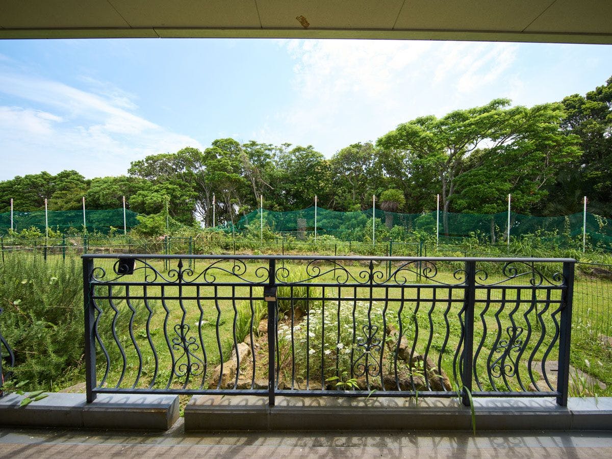 HOTEL HOLISTIC RESORT