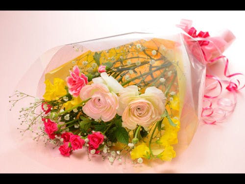 【追加オプション】