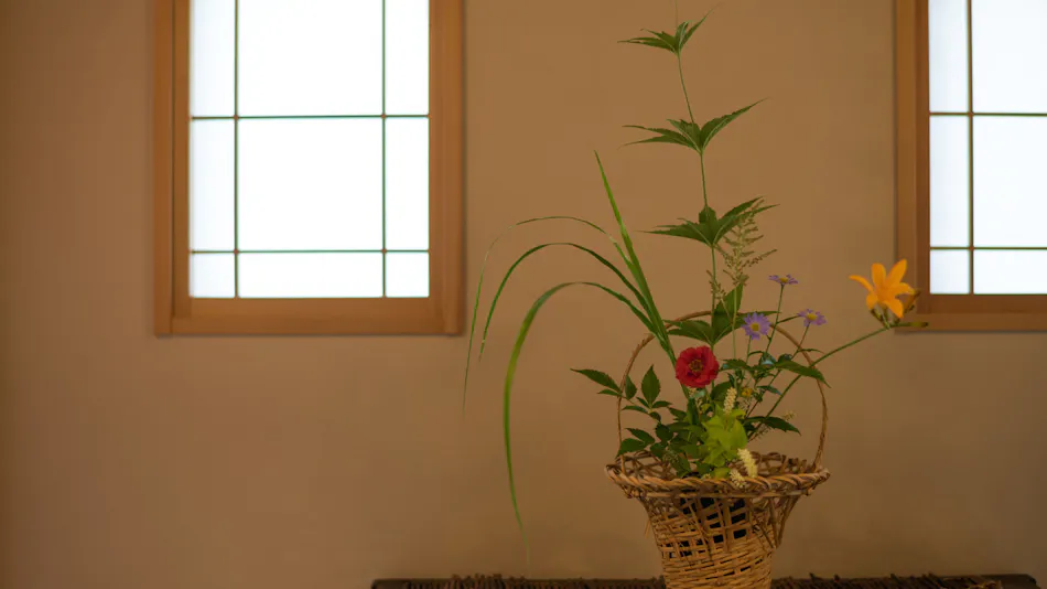 Akayu Onsen Mori no Yu