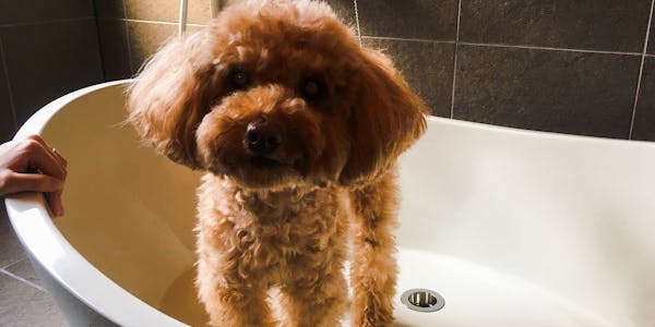 Qppxw6qwsixqim Qppxw6qwsixqim