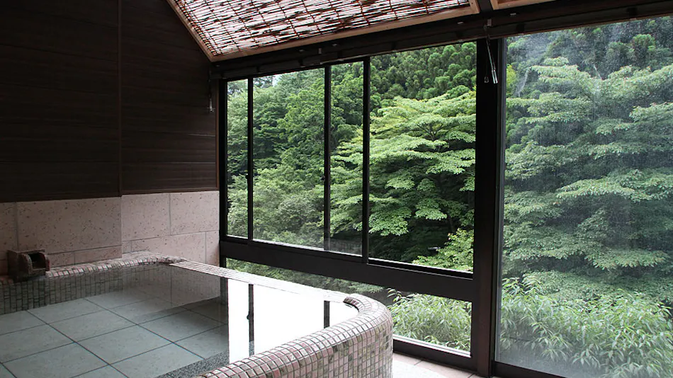 Hakone Nanase (Formerly Manatei Hakone)