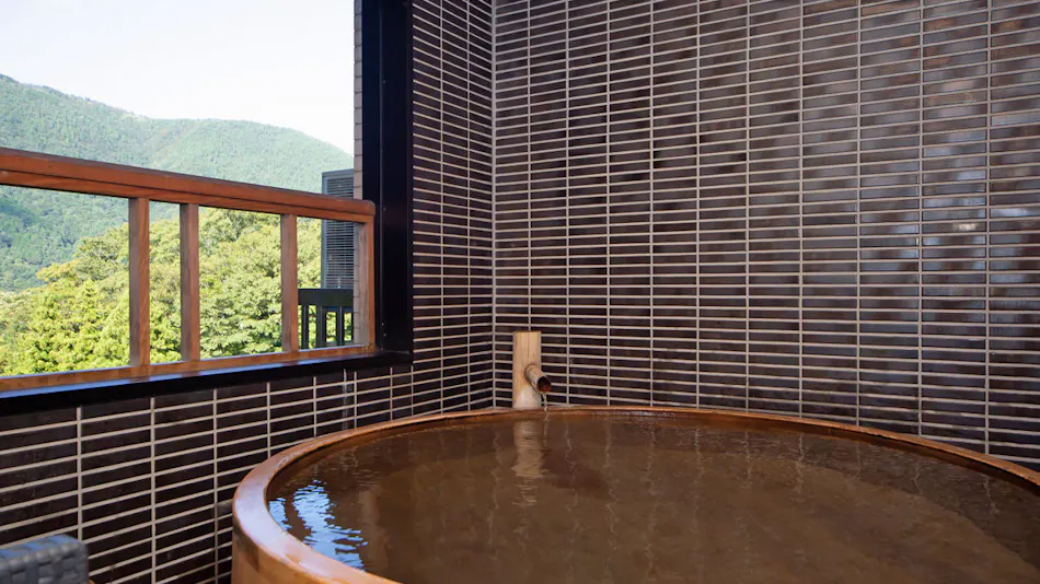 Hakone Nanase (Formerly Manatei Hakone)
