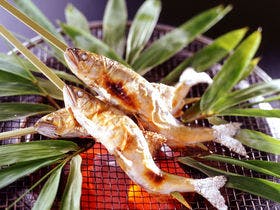 鵜匠の家 すぎ山