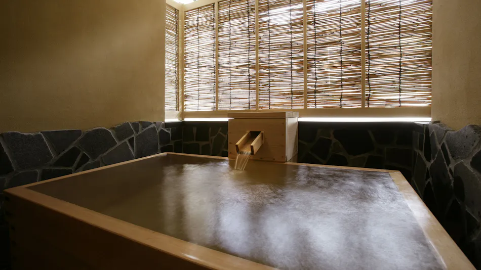 Yudanaka Onsen Wafu no Yado Masuya