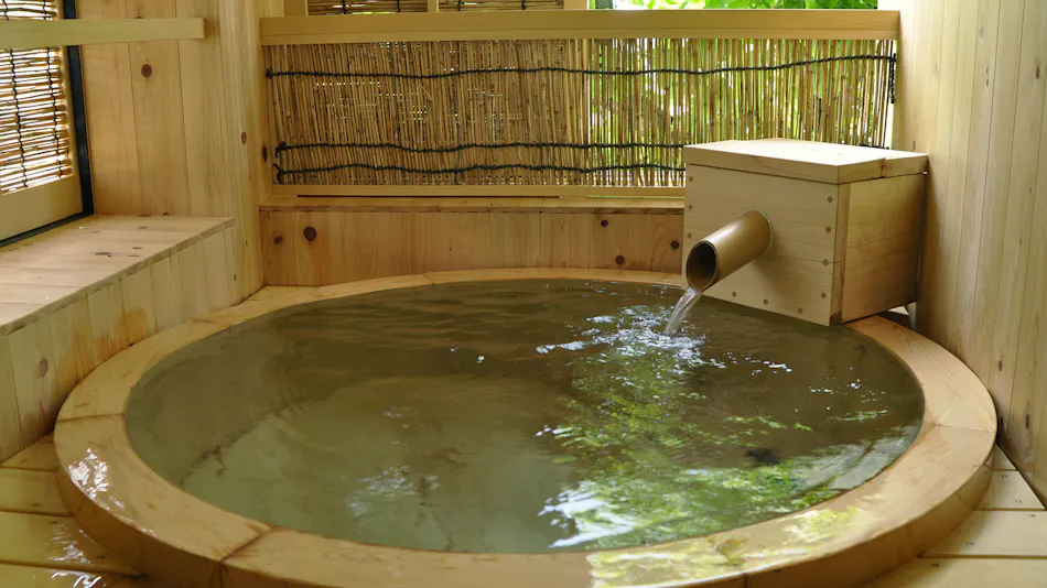Yudanaka Onsen Wafu no Yado Masuya