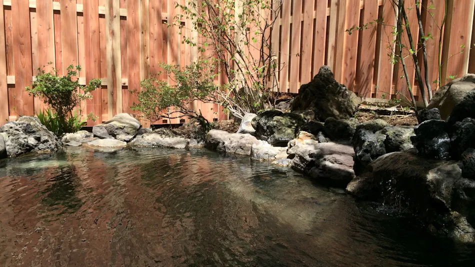 Yudanaka Onsen Wafu no Yado Masuya