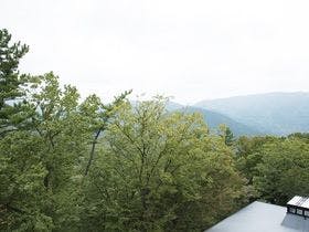 強羅花扇　円かの杜 3枚目