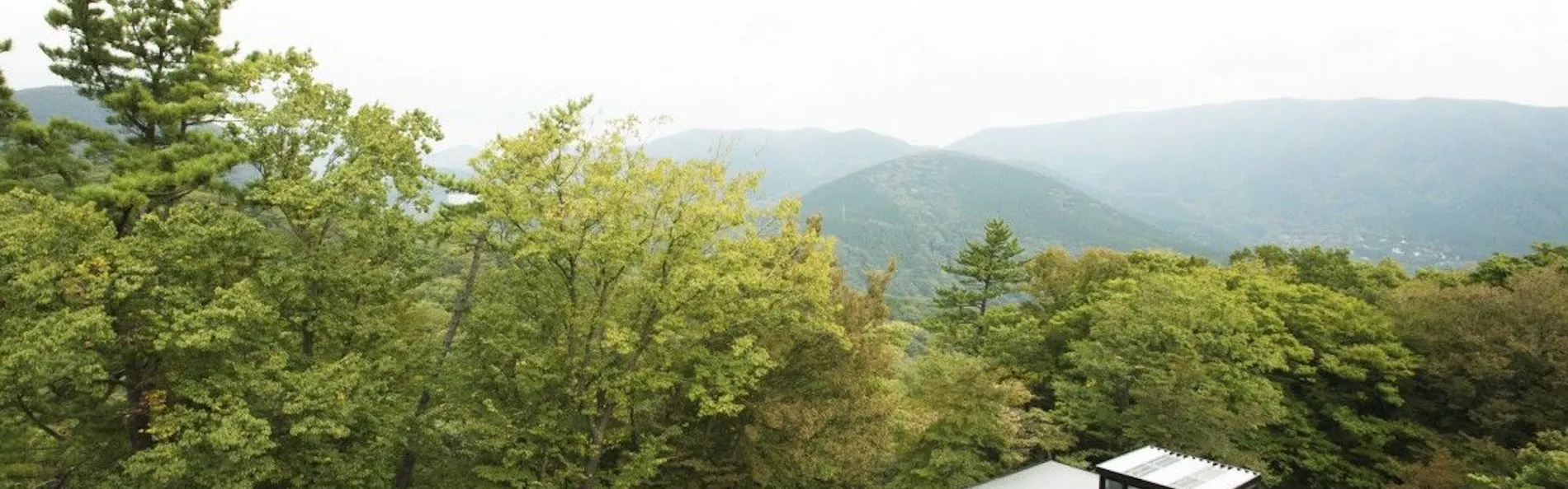 強羅花扇 円かの杜