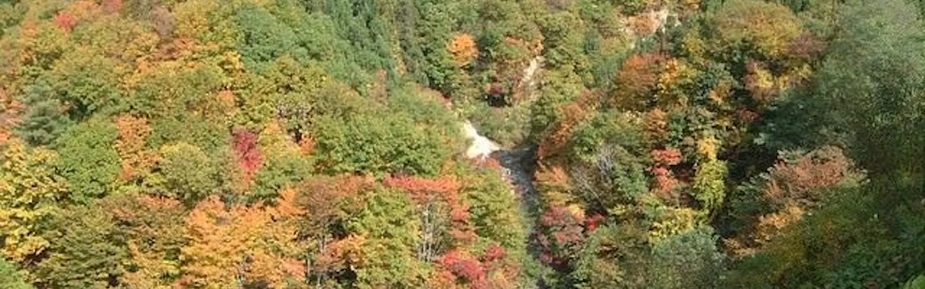 八右衛門の湯 蔵王国際ホテル