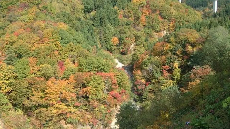 Zao Kokusai Hotel