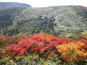 蔵王国際ホテル