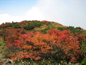 蔵王国際ホテル