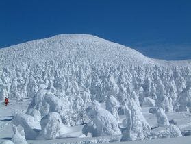 蔵王国際ホテル