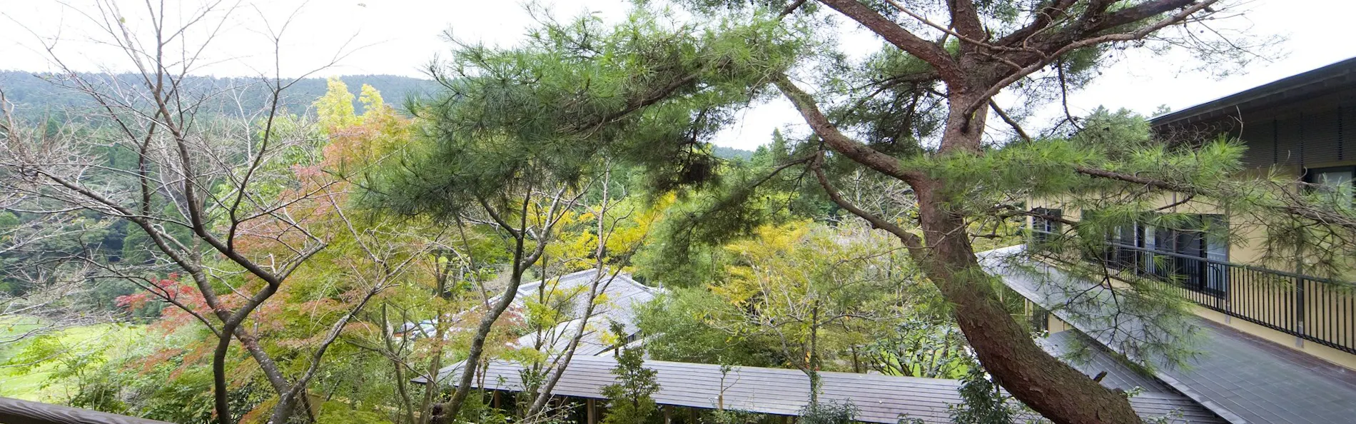 料亭旅館 竹千代 霧島別邸