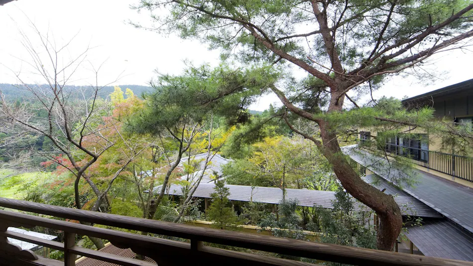 Ryotei Ryokan Takechiyo Kirishima Bettei